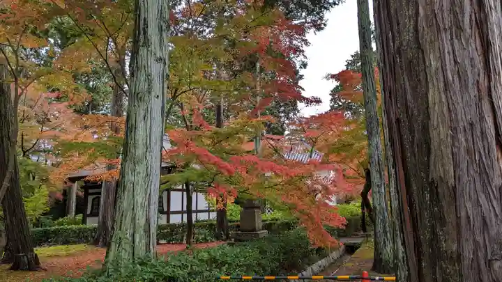 真正極楽寺(真如堂)(京都府)