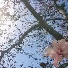 神明社（国府宮神明社）の自然