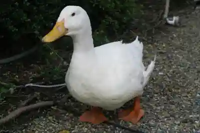 神泉苑(京都府)