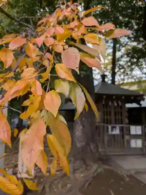 鳩森八幡神社(東京都)