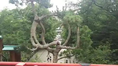 寛永寺(根本中堂)の周辺