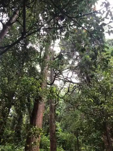 石體神社の自然