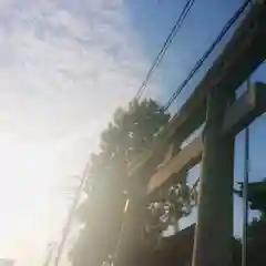 天神社（治郎丸東）の鳥居