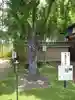 真光寺(千葉県)