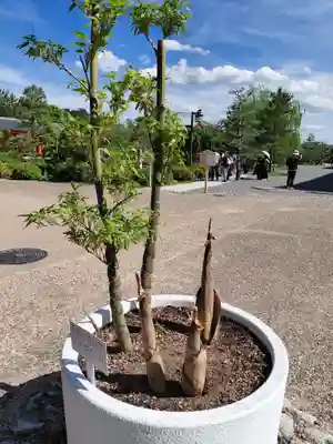 蓮華王院（三十三間堂）(京都府)
