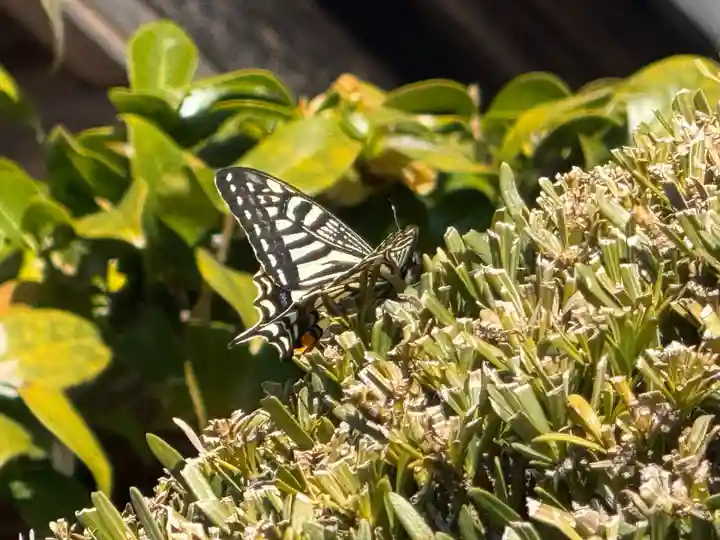 西方山極楽寺(岐阜県)