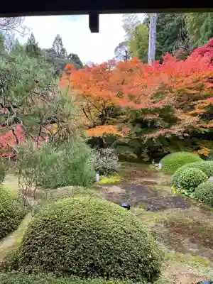 雲龍院(京都府)
