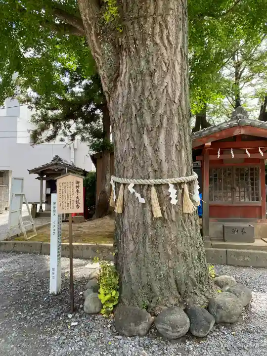 取手八坂神社(茨城県)
