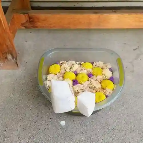 彌彦神社　(伊夜日子神社)の手水舎