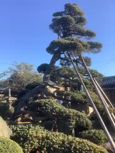 明徳寺の庭園