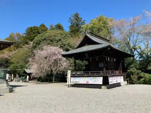 白鷺神社の{uncategorized: "未分類", other: "その他", undefined: "問題あり", building: "その他建物", grave: "お墓", sacred_gate: "鳥居", guardian: "狛犬", statue: "像", buddha: "仏像", history: "歴史", nature: "自然", garden: "庭園", animal: "動物", pagoda: "塔", temizu: "手水舎", mountain_gate: "山門・神門", sanctuary: "本殿・本堂", subordinate: "末社・摂社", art: "芸術", scenery: "景色", jizo: "地蔵", ema: "絵馬", goshuin: "御朱印", omikuji: "おみくじ", items: "授与品その他", amulet: "お守り", goshuincho: "御朱印帳", eats: "食事", festival: "お祭り", votive_dance: "神楽", shichigosan: "七五三参", wedding: "結婚式", experience: "体験その他", initially: "初詣", around: "周辺", anti_infection: "感染症対策"}