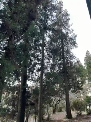 大宮温泉神社(栃木県)
