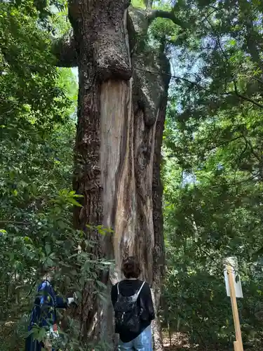西宮神社(兵庫県)
