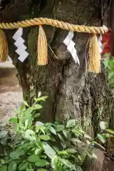 前原御嶽神社(千葉県)