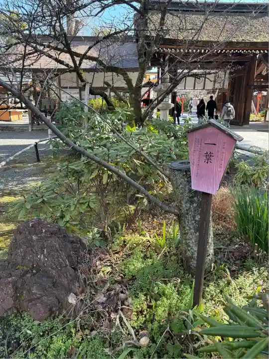 平野神社(京都府)