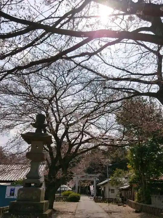 前玉神社のその他建物