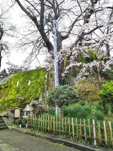 阿智神社の自然