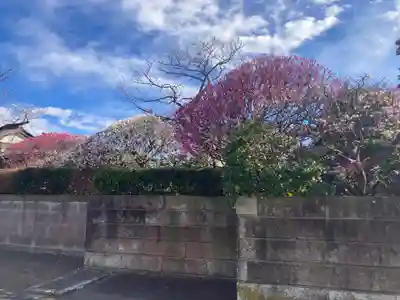薬師院(神奈川県)