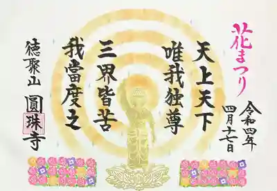 金ぴかお釈迦様に後光が差している眩しい御朱印です😆✨
書入れを拝見していると、下のお花畑は花を一つ一つスタンプされているようです。
とても手数のかかっている御朱印です🙇‍♂️🙏