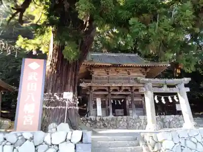 武田八幡宮(山梨県)