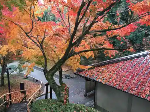 平等院の景色