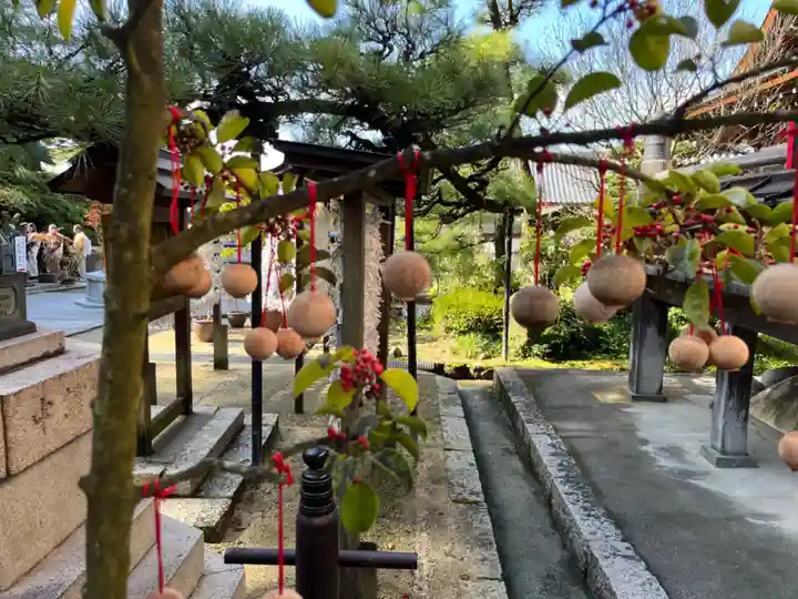 岡寺(龍蓋寺)(奈良県)