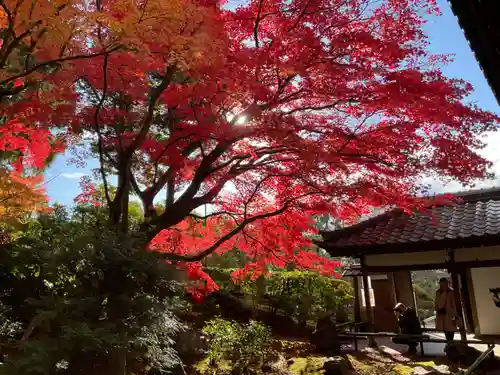 榮攝院（栄摂院）(京都府)