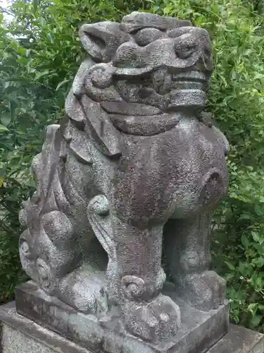 新熊野神社の狛犬