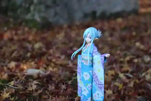 隨心院（随心院）(京都府)