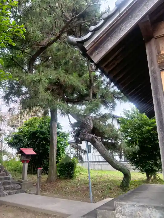 日吉神社の{uncategorized: "未分類", other: "その他", undefined: "問題あり", building: "その他建物", grave: "お墓", sacred_gate: "鳥居", guardian: "狛犬", statue: "像", buddha: "仏像", history: "歴史", nature: "自然", garden: "庭園", animal: "動物", pagoda: "塔", temizu: "手水舎", mountain_gate: "山門・神門", sanctuary: "本殿・本堂", subordinate: "末社・摂社", art: "芸術", scenery: "景色", jizo: "地蔵", ema: "絵馬", goshuin: "御朱印", omikuji: "おみくじ", items: "授与品その他", amulet: "お守り", goshuincho: "御朱印帳", eats: "食事", festival: "お祭り", votive_dance: "神楽", shichigosan: "七五三参", wedding: "結婚式", experience: "体験その他", initially: "初詣", around: "周辺", anti_infection: "感染症対策"}