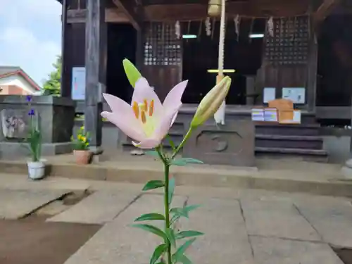 伏木香取神社(茨城県)