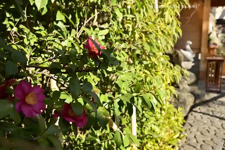 蛇窪神社(東京都)