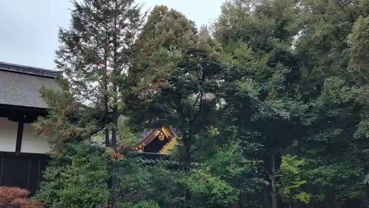 賀茂御祖神社(下鴨神社)の自然