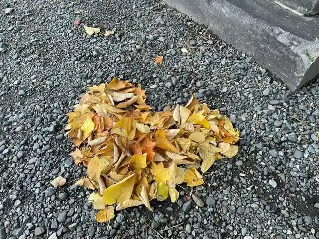 彌彦神社 (伊夜日子神社)の庭園