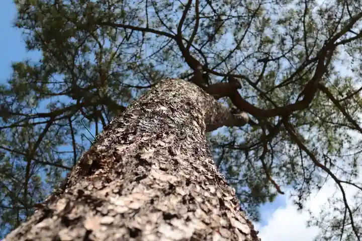 三津厳島神社(愛媛県)