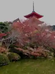 清水寺(京都府)