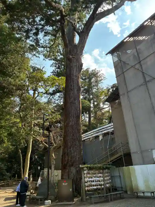 鹿島神宮の{uncategorized: "未分類", other: "その他", undefined: "問題あり", building: "その他建物", grave: "お墓", sacred_gate: "鳥居", guardian: "狛犬", statue: "像", buddha: "仏像", history: "歴史", nature: "自然", garden: "庭園", animal: "動物", pagoda: "塔", temizu: "手水舎", mountain_gate: "山門・神門", sanctuary: "本殿・本堂", subordinate: "末社・摂社", art: "芸術", scenery: "景色", jizo: "地蔵", ema: "絵馬", goshuin: "御朱印", omikuji: "おみくじ", items: "授与品その他", amulet: "お守り", goshuincho: "御朱印帳", eats: "食事", festival: "お祭り", votive_dance: "神楽", shichigosan: "七五三参", wedding: "結婚式", experience: "体験その他", initially: "初詣", around: "周辺", anti_infection: "感染症対策"}