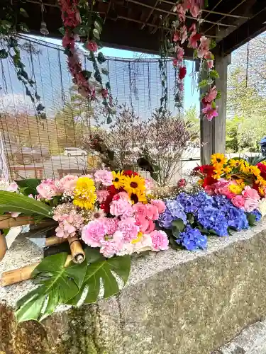札幌伏見稲荷神社の{uncategorized: "未分類", other: "その他", undefined: "問題あり", building: "その他建物", grave: "お墓", sacred_gate: "鳥居", guardian: "狛犬", statue: "像", buddha: "仏像", history: "歴史", nature: "自然", garden: "庭園", animal: "動物", pagoda: "塔", temizu: "手水舎", mountain_gate: "山門・神門", sanctuary: "本殿・本堂", subordinate: "末社・摂社", art: "芸術", scenery: "景色", jizo: "地蔵", ema: "絵馬", goshuin: "御朱印", omikuji: "おみくじ", items: "授与品その他", amulet: "お守り", goshuincho: "御朱印帳", eats: "食事", festival: "お祭り", votive_dance: "神楽", shichigosan: "七五三参", wedding: "結婚式", experience: "体験その他", initially: "初詣", around: "周辺", anti_infection: "感染症対策"}