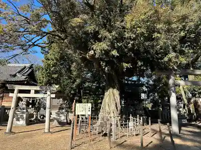 本刈谷神社(愛知県)