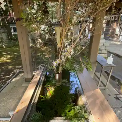 赤坂氷川神社の手水舎