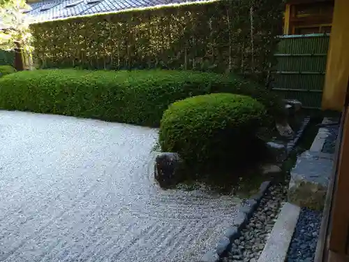 大池寺の庭園