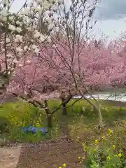 慈悲観音堂の庭園