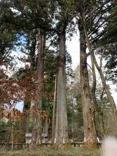 瀧尾神社（日光二荒山神社別宮）の自然