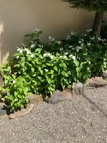 専福寺(東京都)