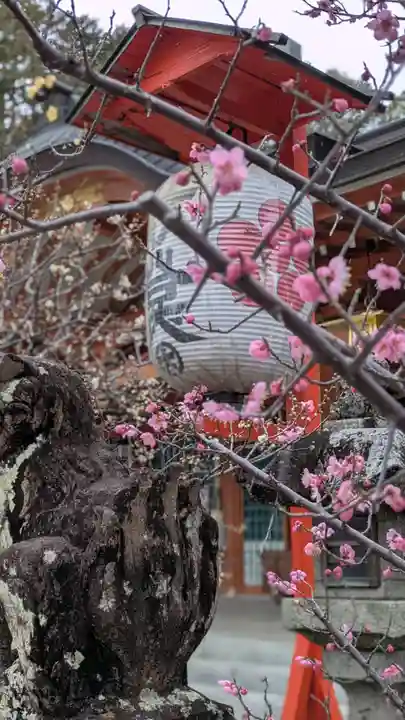 長岡天満宮の狛犬