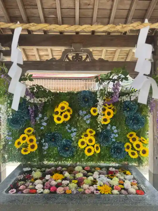 金蛇水神社の{uncategorized: "未分類", other: "その他", undefined: "問題あり", building: "その他建物", grave: "お墓", sacred_gate: "鳥居", guardian: "狛犬", statue: "像", buddha: "仏像", history: "歴史", nature: "自然", garden: "庭園", animal: "動物", pagoda: "塔", temizu: "手水舎", mountain_gate: "山門・神門", sanctuary: "本殿・本堂", subordinate: "末社・摂社", art: "芸術", scenery: "景色", jizo: "地蔵", ema: "絵馬", goshuin: "御朱印", omikuji: "おみくじ", items: "授与品その他", amulet: "お守り", goshuincho: "御朱印帳", eats: "食事", festival: "お祭り", votive_dance: "神楽", shichigosan: "七五三参", wedding: "結婚式", experience: "体験その他", initially: "初詣", around: "周辺", anti_infection: "感染症対策"}