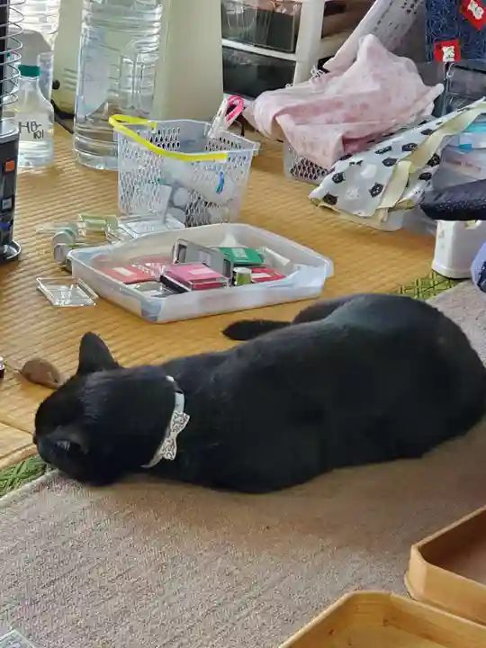 高司神社〜むすびの神の鎮まる社〜(福島県)