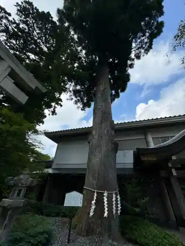 富士山東口本宮 冨士浅間神社(静岡県)