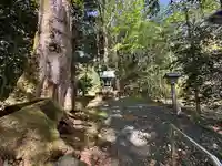 八幡宮(福井県)