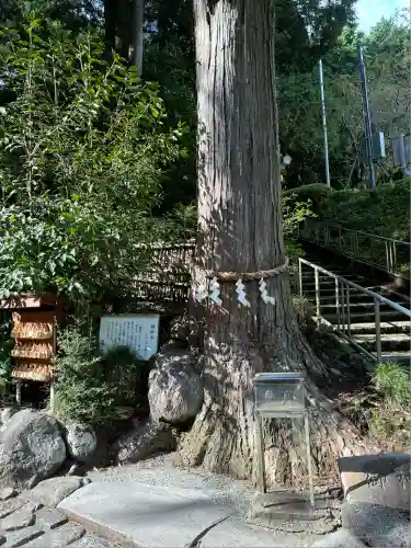 神場山神社(静岡県)